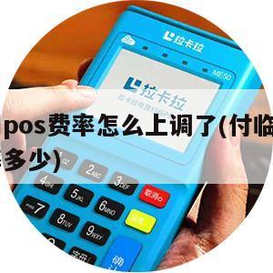 付临门pos机下载安装_下载付临门pos机***_付临门pos机支付平台